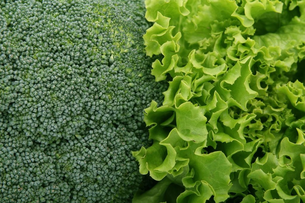 Assortiment coloré de legumes et fruits frais riches en antioxydants