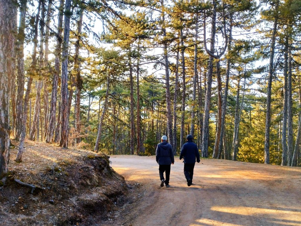 Personne marchant sur un sentier en pleine nature pour faire une pause efficace