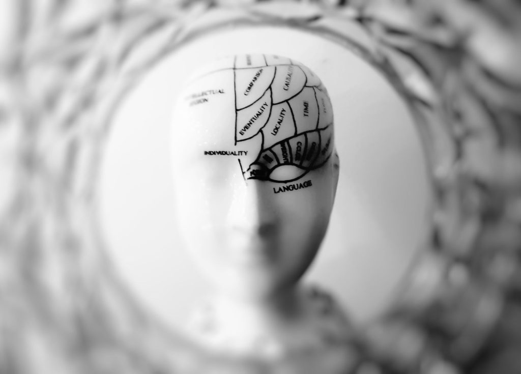 Psychologie et cerveau : illustration des biais cognitifs