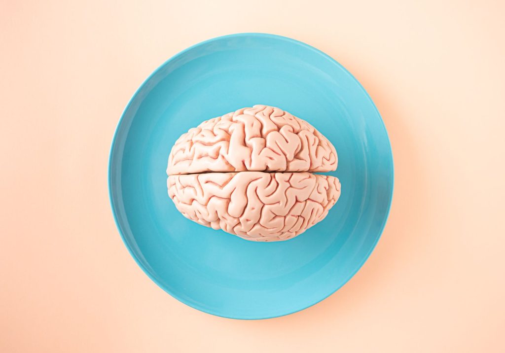 Illustration du cerveau et de ses connexions neuronales