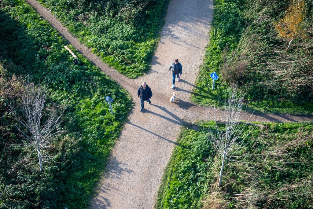 Sentier de randonnée se divisant en deux directions dans un paysage ouvert