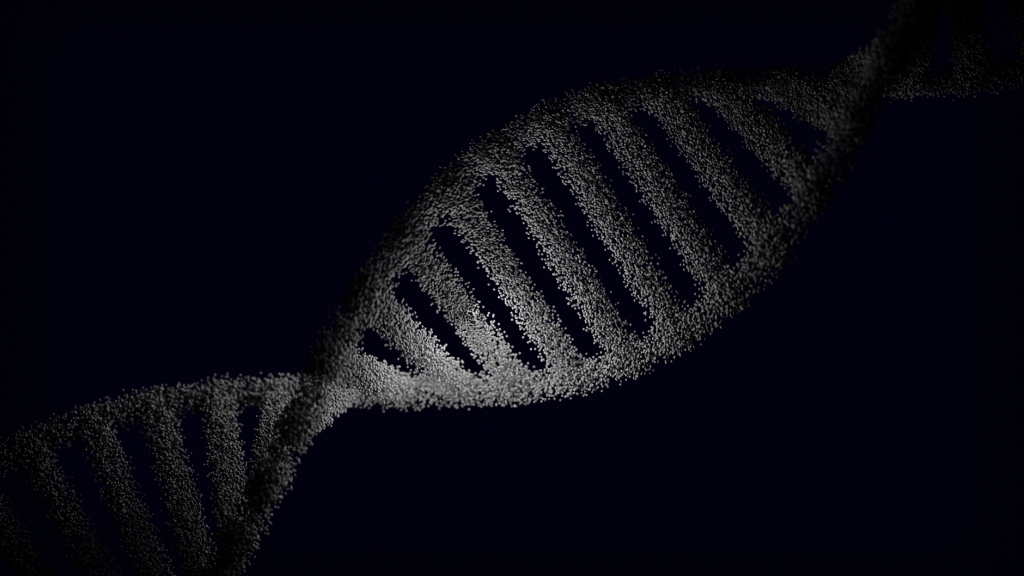 Représentation d’une double hélice d’ADN, support de la détection du chromosome Y