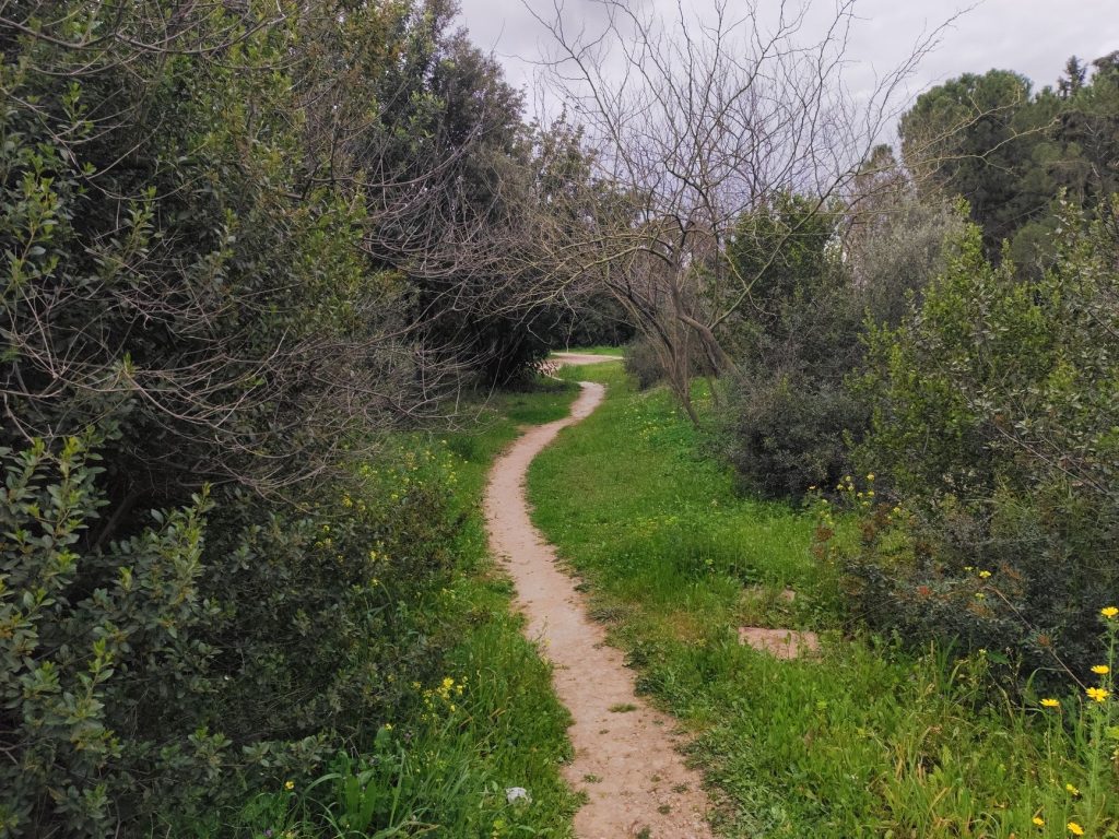 Marche en pleine nature, une activité douce pour réduire l'anxiété et les vertiges