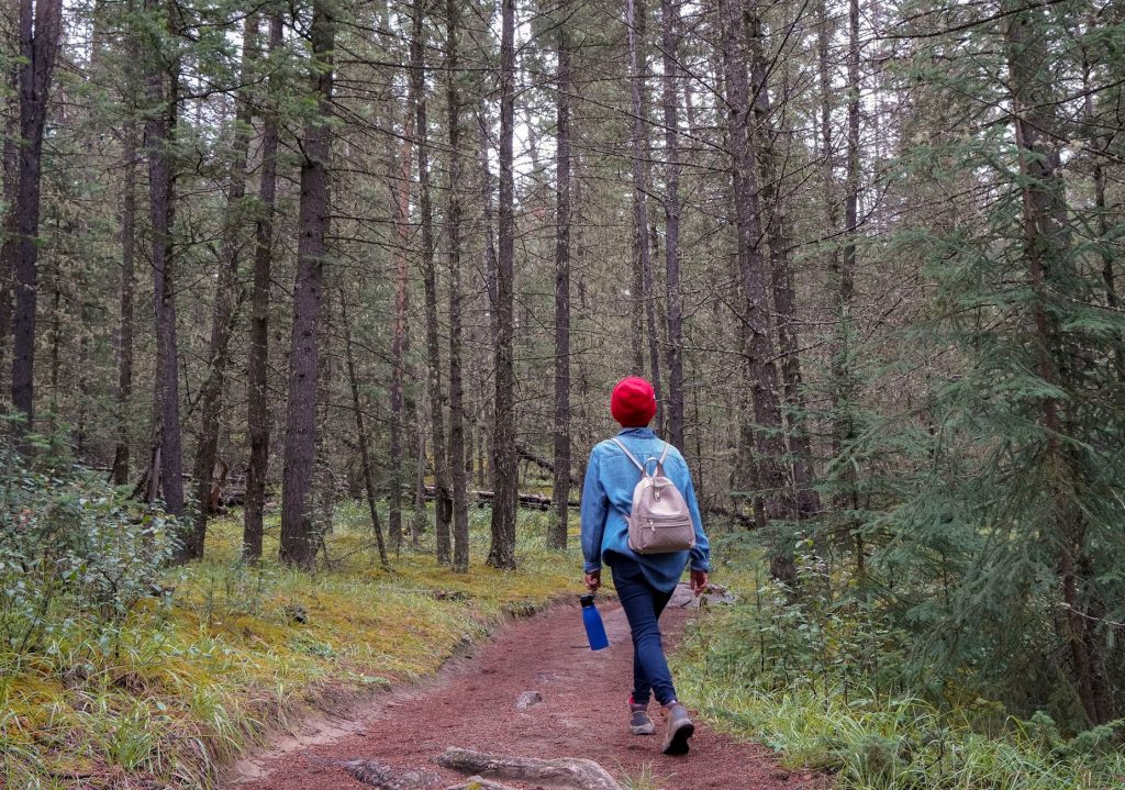 Randonneur marchant sur un sentier en foret, illustrant la distance parcourue en marchant
